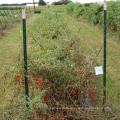 Q235 T shape Studded post for Barbed Wire Fence Steel Pole